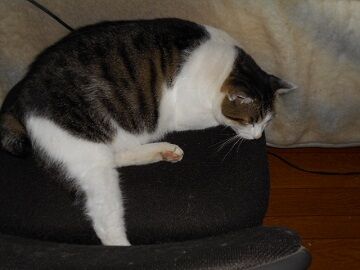 9月23日（7-1）仮