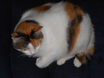 9月26日（6-12）仮