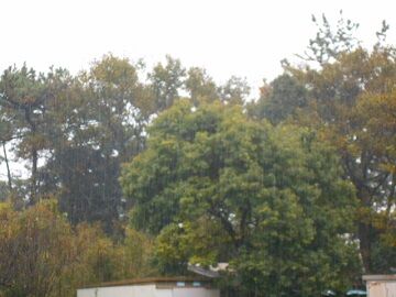 12月2日（33）仮