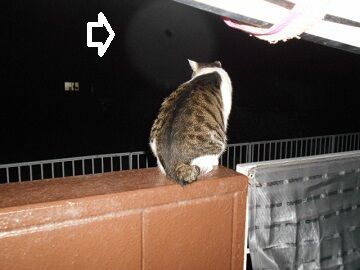 9月10日（18-7）仮