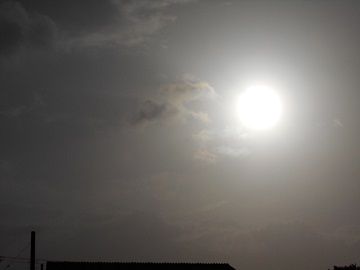 3月1日(9)
