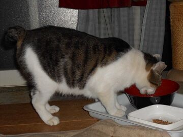 9月20日（19-2）仮