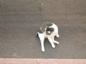 9月19日（5-2）仮