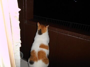 9月23日（2-5）仮