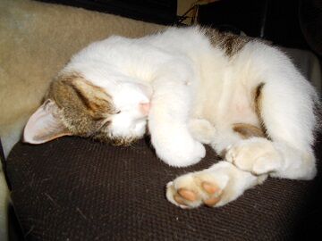 5月31日（18）仮