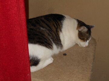 9月25日（14-6）仮