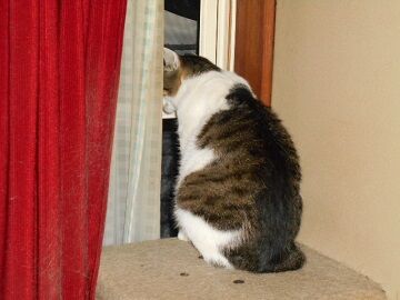 8月20日（02）仮