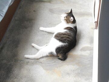 9月15日（14-1）仮