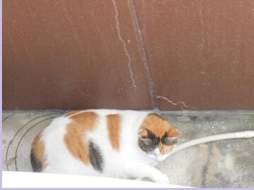 9月26日（38）仮