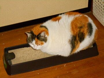 3月24日（41）仮