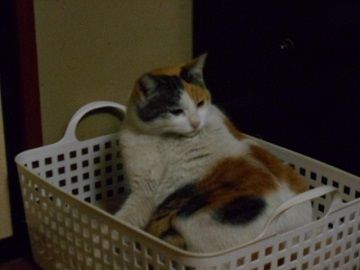 2月24日(4)