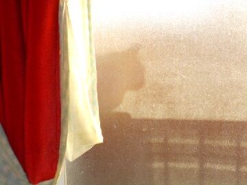 12月29日（36）仮