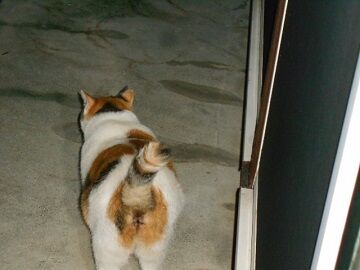 9月24日（23-18）仮