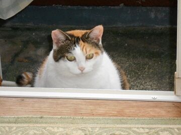 9月13日（51）仮