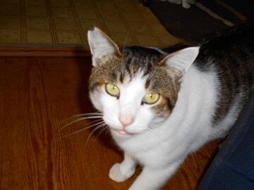 11月13日（19）仮