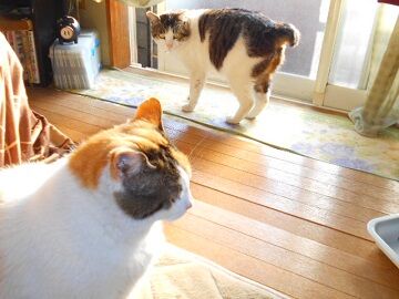 3月18日（20）仮