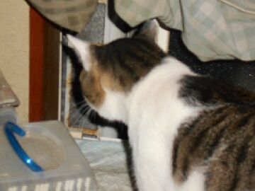 9月1日（81）使用