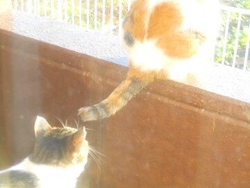 12月12日（9）仮