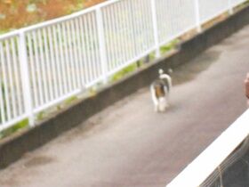 10月28日（3）仮