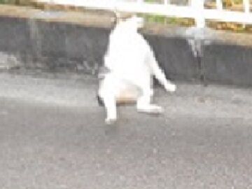 10月2日（39）仮 - コピー