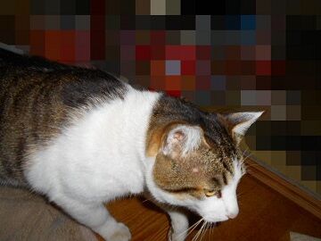 3月27日（14）仮