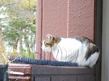 3月30日（23）仮