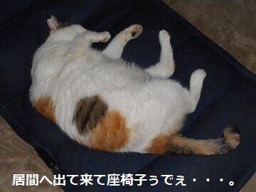 9月22日（10-1）仮