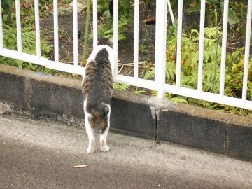 9月11日（21）仮