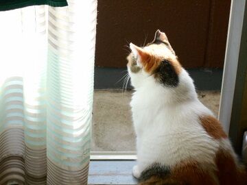 9月16日（19）仮