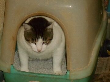 9月13日（5-9）仮