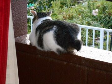 9月8日（6-1）仮