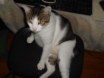 9月22日（7-9）仮