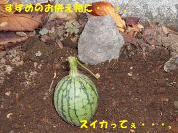 9月25日（10-4）仮