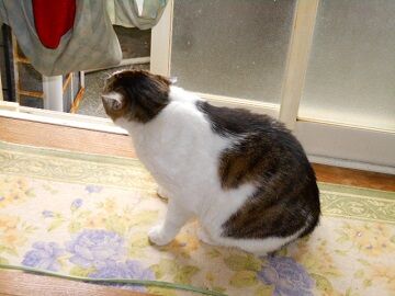 5月18日（79）仮