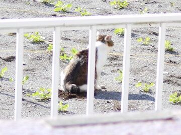 5月30日(47)仮