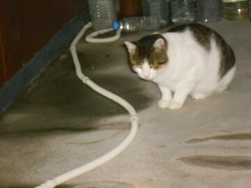 10月26日（8）仮