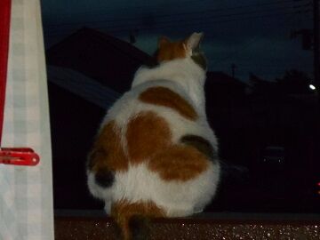 9月14日（5-1）仮