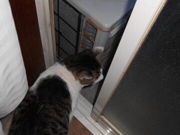 8月21日（30）仮