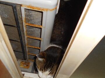 3月29日（45）仮