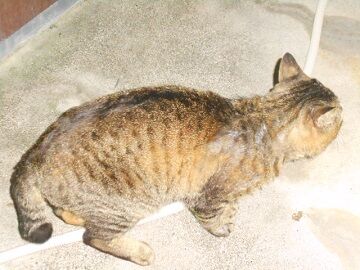 5月23日（47）仮