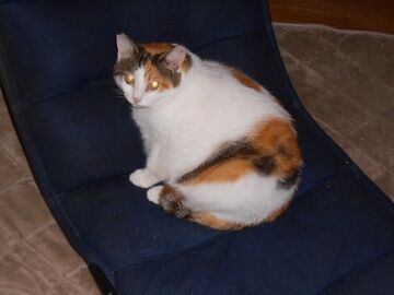 10月4日（19-39）