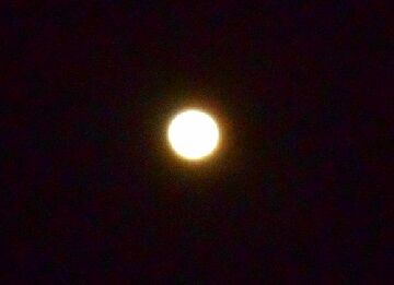 12月12日(33)