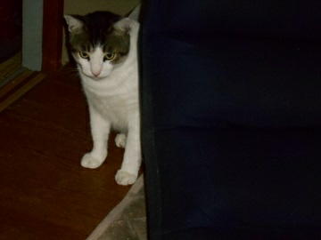 9月3日（18-14）仮