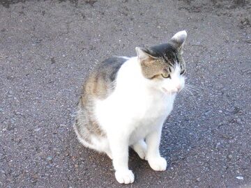 6月24日（41）仮