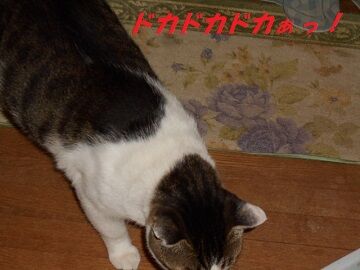 9月28日（21-1）仮