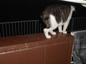 9月17日（2-7）仮