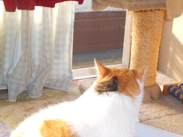 5月10日（15）仮