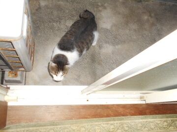 9月25日（6-1）仮