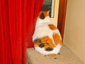 5月20日（49）仮