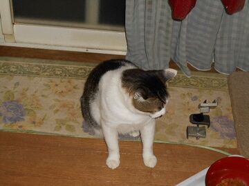 9月28日（21-4）仮